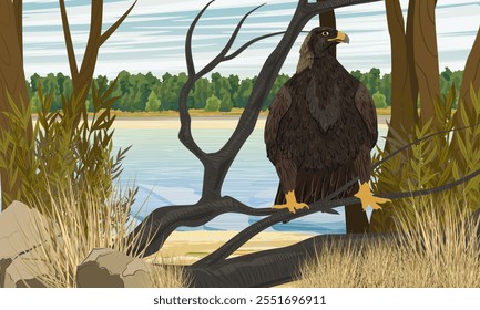 Big golden eagle sits on a tree branch on the river bank. Realistic vector landscape