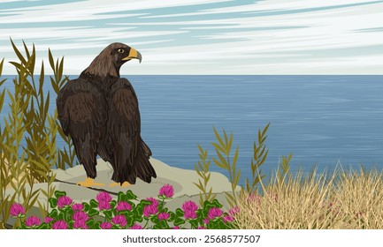 Big golden eagle sits on a rock on the sea coast. Realistic vector landscape