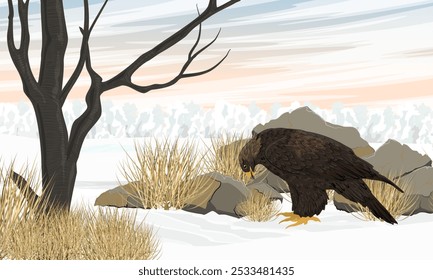Big golden eagle takes off from rocky dry mountain valley. Realistic vector landscape