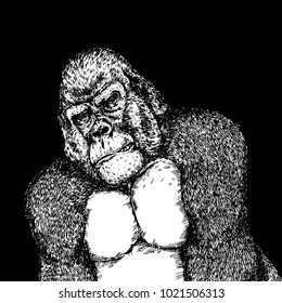 Big gorilla on black background,hand drawing