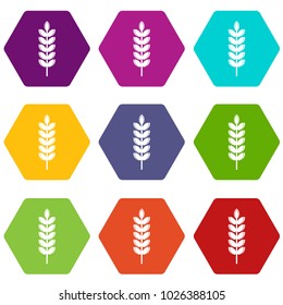 Big grain spike icon set many color hexahedron isolated on white vector illustration