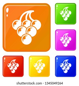Big grape icons set collection vector 6 color isolated on white background