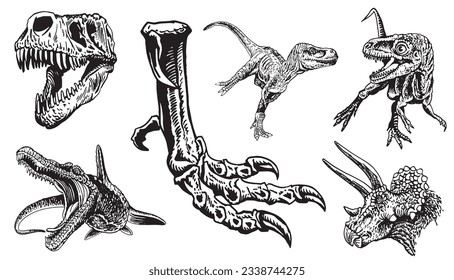 Big graphical set of dinosaurs,skulls and skeletons isolated on white,vector illustration