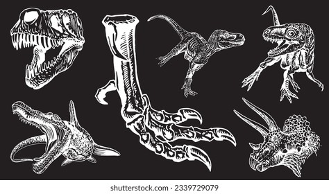 Big graphical set of dinosaurs,skulls and skeletons isolated on black,vector  engraved illustration