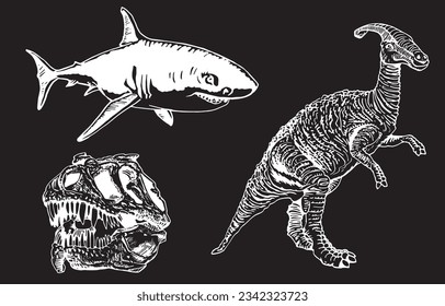 Big graphical set of dinosaurs,skulls and skeletons isolated on black,vector  engraved illustration