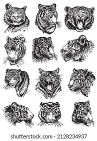 Big graphical set of heads of tigers isolated on white ,vector illustration,elements for tattoo ,printing ,design