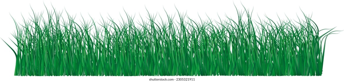 Big Grass Borders Set, Vector Illustration	