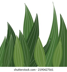 Big Grass Environment Green Leaf
