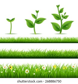 Big Grass Set With Plants With Gradient Mesh, Vector Illustration