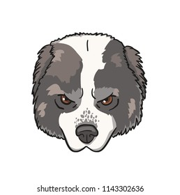 Big gray dog head