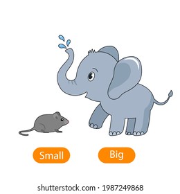 Gran elefante gris y ratoncito. el concepto de enseñar a los niños los adjetivos opuestos Big and Small. ilustración vectorial aislada en fondo blanco