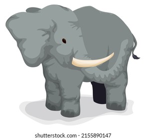 Big and gray elephant, standing and looking back. Design in cartoon style over white background.