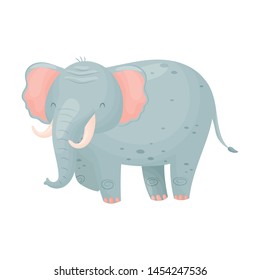 Big gray elephant. Vector illustration on white background.