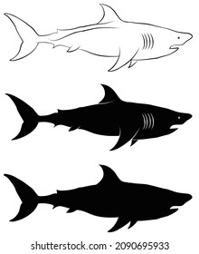 A big great white shark illustration, Vector line art of a big fish, An aquatic animal outline drawing