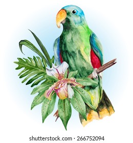 Big green Amazon parrot and tropical flower. Watercolor vector illustration