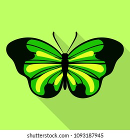 Big green butterfly icon. Flat illustration of big green butterfly vector icon for web design