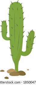 Big green cactus, illustration, vector on white background