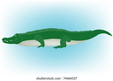 Big green crocodile on turn blue background