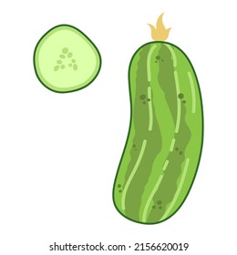 Big green cucumber. Set of vegetable. Colorful vector illustration isolated on white background.
