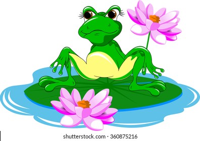 Big green frog on a white background, vector