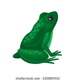 Big green frog sitting isolated on white background, side view. Amphibian with squat body and long hind legs. Flat vector icon