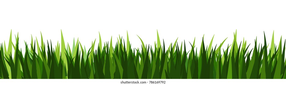 Big Green Grass Borders Set  isolated on white background, Background vector illustration