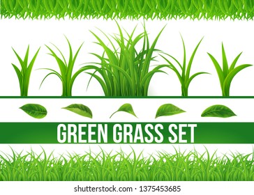 Big Green Grass set Isolated white background,fresh spring grass,Border, leaf,panoramic view,3d. Vector Illustration