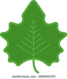 Big green leaf, illustration, on a white background.