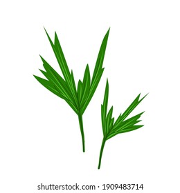 


Big green palm leaves, floral decor element in flat style, vector illustration, green leaf of exotic flower.