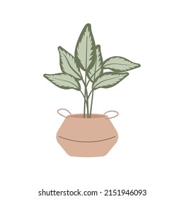 Big green plant in woven planter basket. Houseplant flat Vector Illustration. Home and office interior decoration.