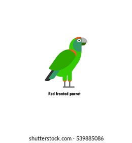 Big green red fronted parrot