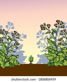 Big green row grass thorn burdock bloom outdoor yard scene outline black hand drawn farmer root eco bio turnip seed eat fight sign icon symbol. Closeup scenic view retro art doodle line sky text space