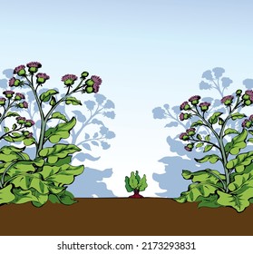 Big green row grass thorn burdock bloom outdoor yard scene outline black hand drawn farmer root eco bio turnip seed eat fight sign icon symbol. Closeup scenic view retro art doodle line sky text space