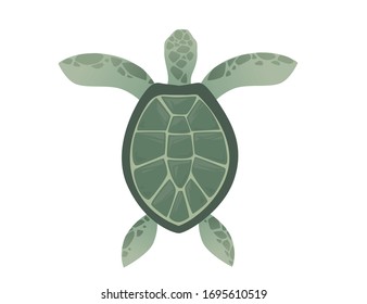 Big green sea turtle cartoon cute animal design ocean tortoise swimming in water flat vector illustration isolated on white background