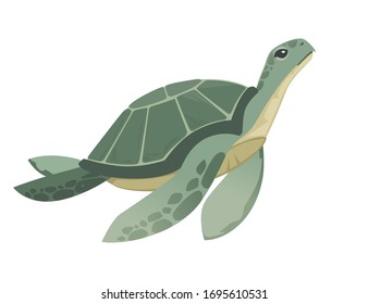 Big green sea turtle cartoon cute animal design ocean tortoise swimming in water flat vector illustration isolated on white background