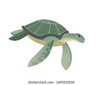 Big green sea turtle cartoon cute animal design ocean tortoise swimming in water flat vector illustration isolated on white background