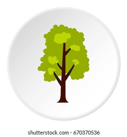 Big green tree icon in flat circle isolated vector illustration for web