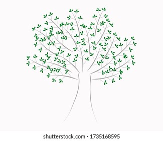 Gran árbol verde con hojas