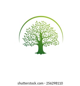 Big green tree with leaves and arch. The symbol of life, fertility, development of businesses.