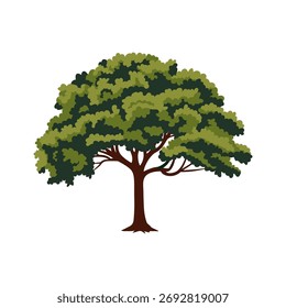 A big green tree. Oak