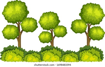 Grandes árboles verdes en ilustración de fondo blanco