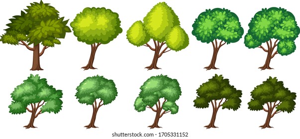 Big green trees on white background illustration