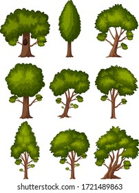 Big green trees on white background illustration