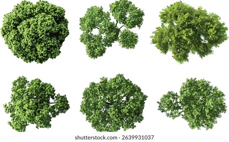 big green trees shape, top view, nature design, green foliage, environmental landscape, outdoor greenery, ecofriendly, forest illustration