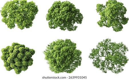 Big green trees vector, top view cut out, transparent background, ecofriendly design, green nature, landscape, greenery, outdoor scene, forest foliage, environmental illustration