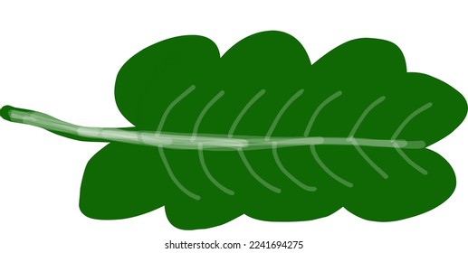 big green tropical leaves isolated on white background.