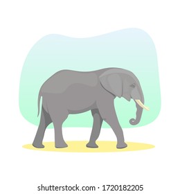 Big grey elephant walking. Side view. Wildlife animal. Africa and Asia. Huge creature. Safari icon sign or symbol. Circus attraction. Fauna element. Side view - Flat vector character illustration.