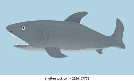 Big grey fish. vector illustration