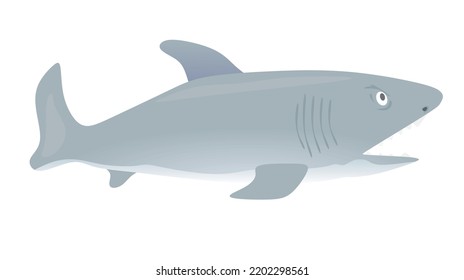 Big grey fish. vector illustration