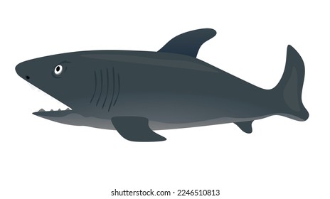 Big grey fish. vector illustration